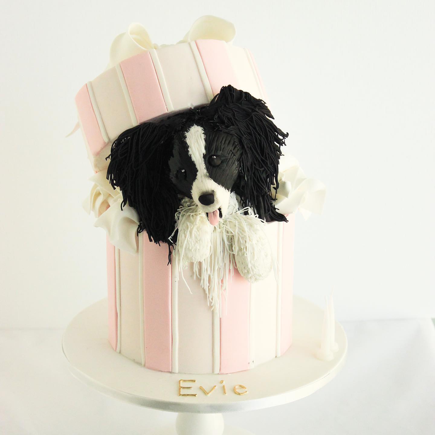 Hand carved 3D Puppy Dog cake chewing up stuff & making a … | Flickr